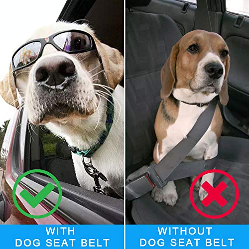 Cinturon Perro Coche, Dog Seatbelt, Cinturon de Seguridad para Perros, Universal Dog Car Seat Belt, Longitud Ajustable（29"- 56"）, con Anti Choque Cinturon Elástico de Nylon, para Mascotas Perros Gatos