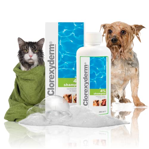 Clorexyderm Champú para perros, cachorros y gatos con picores - Antibacteriano y antifúngico, 4% clorhexidina - 250ml