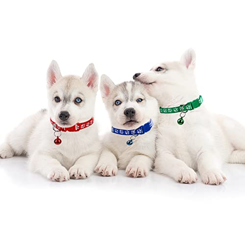 cobee Identity Collar para cachorro, 12 Uds., collares para cachorros con campanas, estampado de pata, collares para cachorros, ajustable, bonito Collar de identificación para mascotas