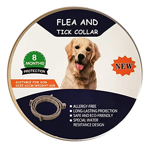 Collar antiparasitario para Perro, Collar antipulgas y antigarrapatas para Perro y Gatos, Producto Natural (M-64cm)