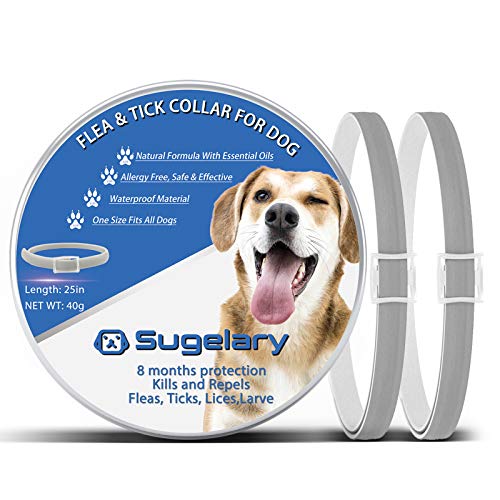 Collar Antiparasitario para Perro, Protección de 8 Meses Collar Antiparasitario de Perro Impermeable Ajustable Collar de Pulgas para Perros Mejorado con Aceites Esenciales Naturales
