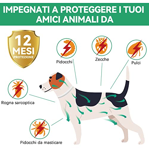 Collar Antipulgas Perros, Seguro y Eficaz Collar Antiparasitario Perros Hecho de Aceites Esenciales 100%, Collares Antipulgas para Perros de 12 Meses de Eficacia para Perros de Todos Los Tamaños