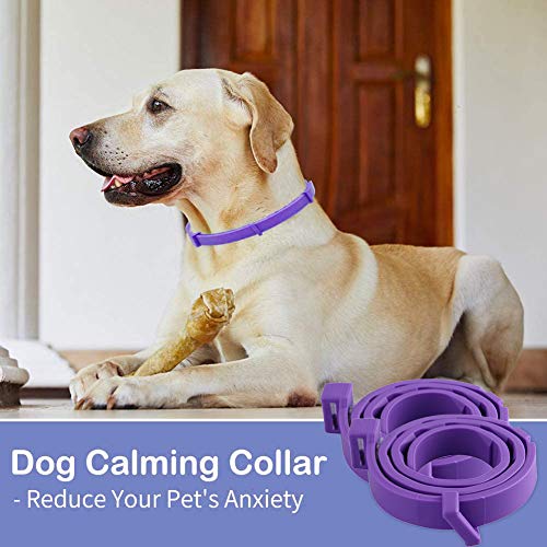 Collar calmante para perros, Collar de calmante Ajustable para perros, Collar de Calmante para perros, alivia la ansiedad, collar calmante natural de larga duración, Seguro e Impermeable, Paquete de 2