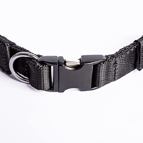 Collar de Fuerza SK9 con púas de Acero Cromado y Hebilla Metálica. para Adiestramiento, Antitirones. (53 cm)