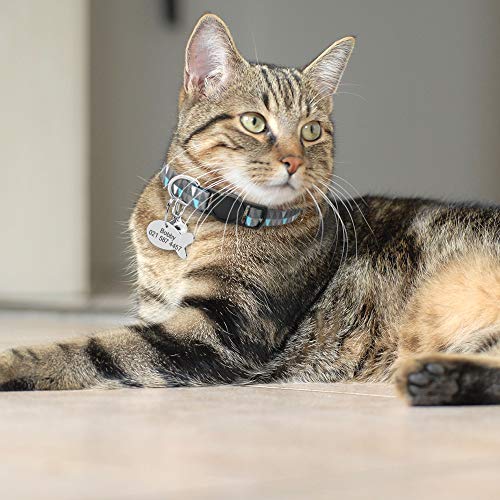 Collar de Gato Personalizado con Placa de Nombre – Collares de identificación de Gato con Timbre – Etiquetas de identificación para Mascotas pequeñas grabadas con Hebilla de liberación rápida