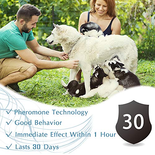 Collar de Perro Calmante, Collar Impermea Bleajustable Para Calmar Eficazmente la Ansiedad Del Perro, 30 Días de Duración Seguro Tóxico Protege la Salud Física y Mental De Los Perros (62cm)