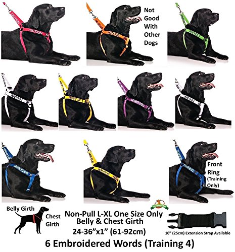 Collar de perro ciego (perro tiene limitado/sin vista) color blanco codificado ancho L-XXL Semi-Check previene accidentes advirtiendo a otros de tu perro por adelantado