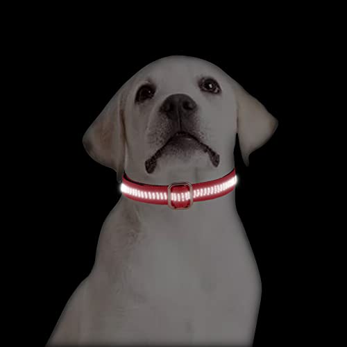 Collar De Perro Collares De Perro Personalizados De Nailon Reflectante Pequeño Nombre De Cachorro Grande Metal Grabado Gratis Accesorios Para Mascotas Duraderos   Collar De Etiquetas De Identificació