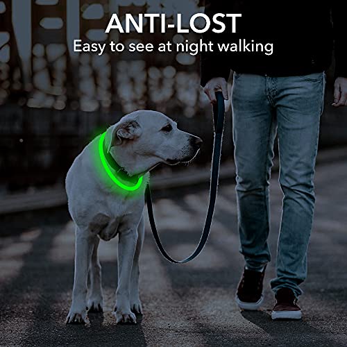 Collar de Perro con luz Rosa, Collar de Perro de Seguridad Personalizado con USB Recargable, súper Brillante, Collar Intermitente para Perro, 4 Colores para Perros pequeños, medianos y Grandes