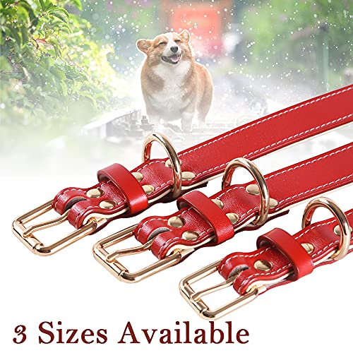 Collar de perro de cuero suave ajustable de acolchado mejor para perros de raza pequeña mediana grande (L, rojo)