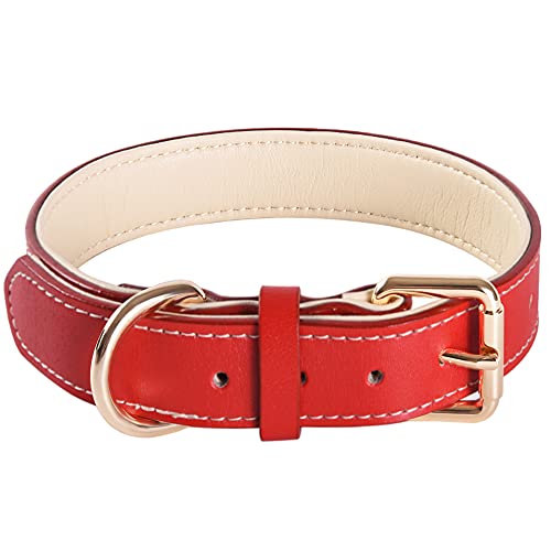 Collar de perro de cuero suave ajustable de acolchado mejor para perros de raza pequeña mediana grande (L, rojo)