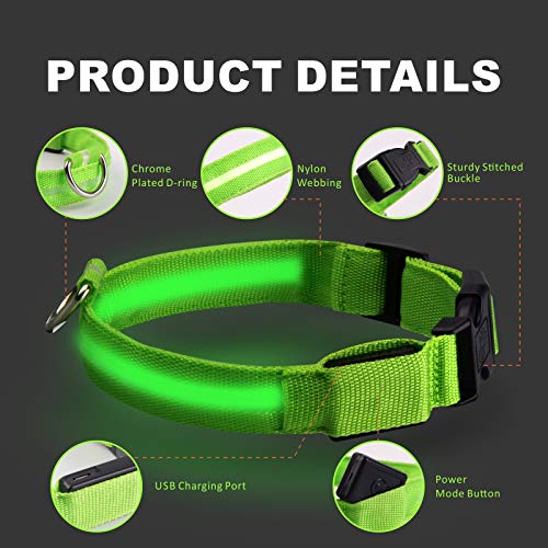 Collar de Perro LED Baytion Collar de Perro Luminoso Recargable USB con Collar Intermitente Recargable e Impermeable (Small(34-41cm/5-15kg Dogs))