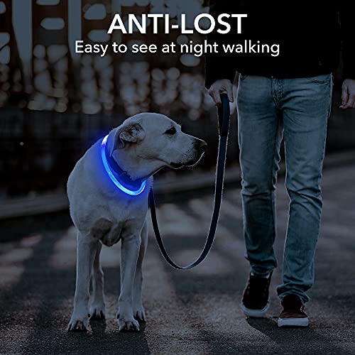 Collar de Perro LED con luz para Perros de Seguridad Personalizado con USB Recargable Super Brillante Collar de Perro Intermitente 4 Colores para Perros pequeños, medianos y Grandes