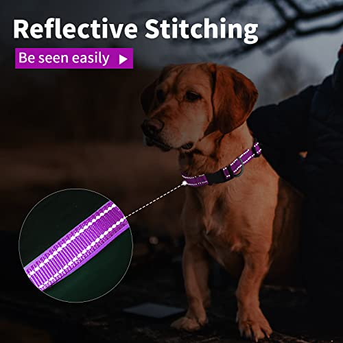 Collar de Perro Suave Acolchado Neopreno Ajustable Collares Reflectantes para Mascotas para Perros PequeñOs Medianos Grandes - Morado - S