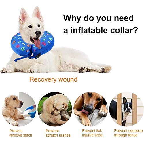 Collar de recuperación para Perros Gatos Collar Inflable para Perros Collar Protector para Gatos Collares y Conos recuperación caninos con Inflador para Perros Pequeños Medianos Grandes Gatos L
