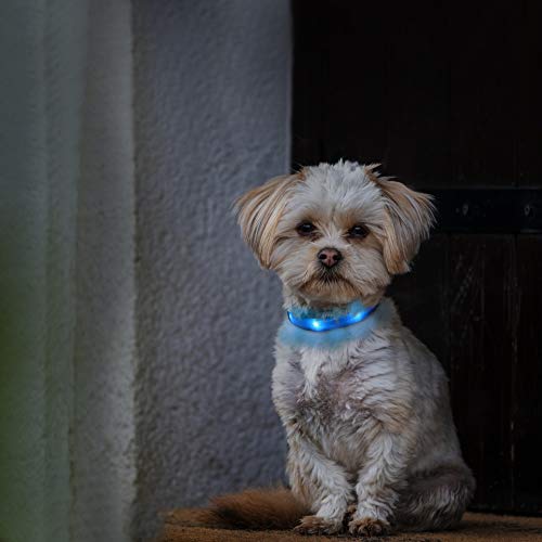 Collar Luminoso de Perro LED para Perros Pequeños Collar de Perro Iluminado para Cachorros, Collar de Perro Intermitente Recargable, Ajustable con 3 Modos Súper Brillante - Azul