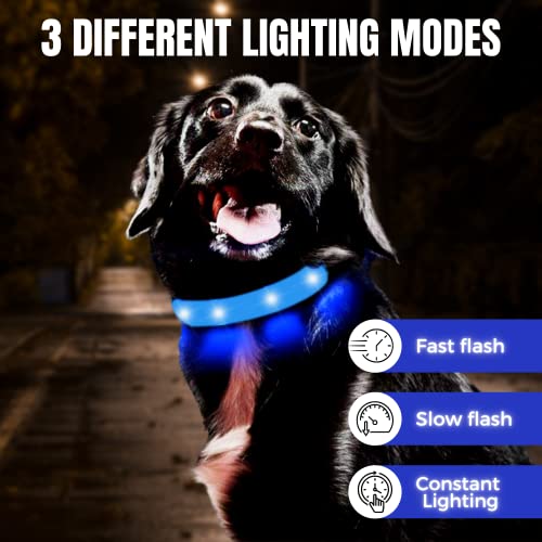 Collar Luminoso para Perro, led, Reflectante, para Perro pequeño Mediano y Grande, tamaño Ajustable, bateria Impermeable y Recargable, Collares electricos Luminosos (L, Azul)