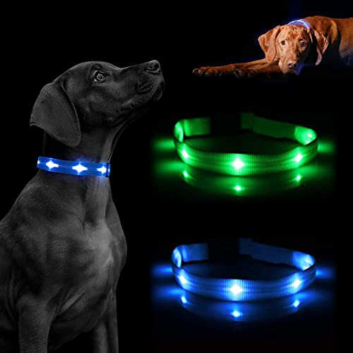 Collar Luminoso para Perro, led, Reflectante, para Perro pequeño Mediano y Grande, tamaño Ajustable, bateria Impermeable y Recargable, Collares electricos Luminosos (L, Azul)