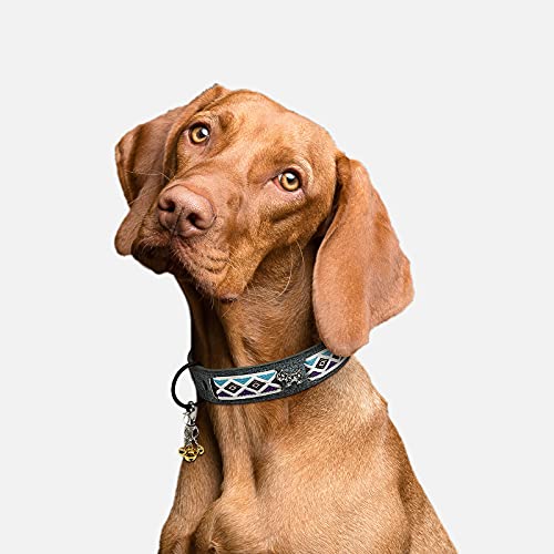 Collar para Perro, Collar de Piel Suave para Perro, Collar de Mascota Ajustable para Perro pequeño Perro Mediano Perro Grande (3 cm Ancho, 44cm-54cm)