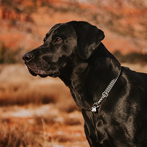Collar para perro Sprenger de acero inoxidable, 2 filas de collar de perro mate de 3,0 mm con cadena de arrastre, ideal para razas de pelo corto, 55 cm