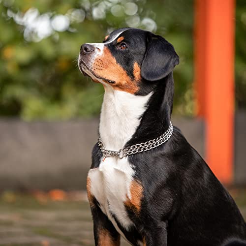 Collar para perro Sprenger de acero inoxidable, 2 filas de collar de perro mate de 3,0 mm con cadena de arrastre, ideal para razas de pelo corto, 55 cm