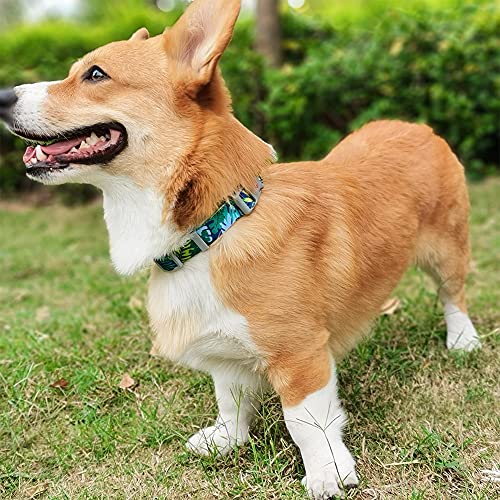 Collar para perro súper suave de tamaño mediano diseñado para primavera y verano, cierre rápido, longitud ajustable de 32 a 48 cm, adecuado para actividades al aire libre, color azul