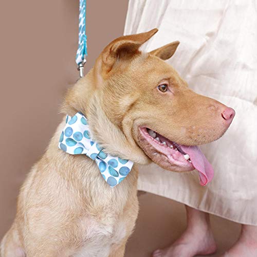 Collar para perros personalizado Nombre y número de teléfono de la mascota Collar de perro con diseño láser grabado para   perros Collares y correas exclusivos para perros anti-perdida 5 Tamaño