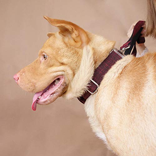 Collar para perros personalizado Nombre y número de teléfono de la mascota Collares personalizados para perros Collar hermoso Diseño exclusivo anti-perdida Collar para perros 5 Tamaños-Collar p