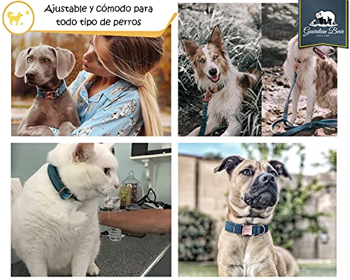 Collar Perro Mediano con Correa y Colgante de luz. Set Completo de Terciopelo Suave para Perros, Gatos y Cachorros.