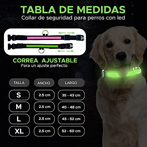 Collar Perro Personalizado con LED, Collar para Perro Luminoso y Personalizado con Nombre y teléfono, Tamaño Ajustable para Perros Pequeños Medianos Grandes (M, Rosa con Nombre)
