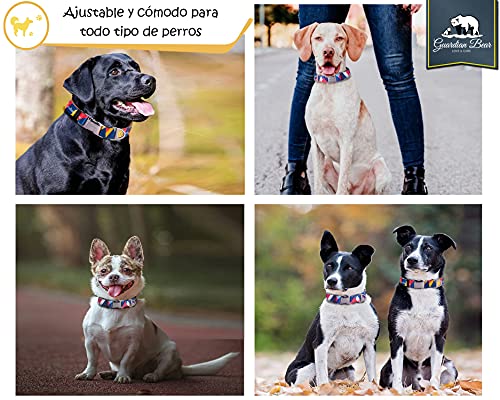 Collar y Correa Perro Grande Premium con Cierre Metálico, Seguro y Ajustable. Set para Perros y Cachorros Cómodos, Modernos y de Diseño. Serie Miami.