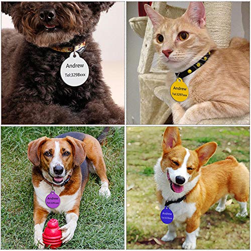 Collares personalizados con grabado para perros Arnés Hoja para perros Nombre del perro Etiqueta de identificación Producto para mascotas-Rojo-TAMAÑO GRATIS.