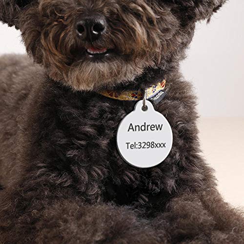 Collares personalizados con grabado para perros Arnés Hoja para perros Nombre del perro Etiqueta de identificación Producto para mascotas-Rojo-TAMAÑO GRATIS.