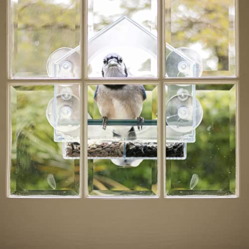 Comedero de pájaros de ventanas, acrílico transparente para comedor, con ventosas potentes, para pájaros, pájaros, pájaros, salvajes (A)
