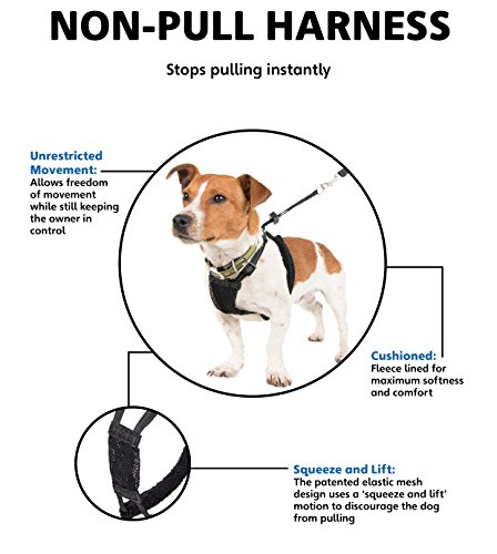 Company of Animals HALTI No-Pull Harness Large