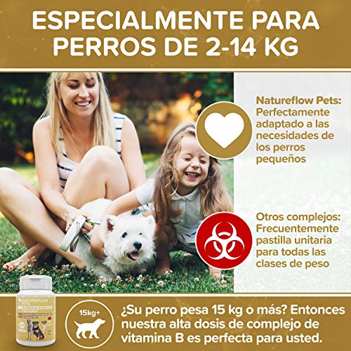 Complejo de Vitamina B Perros - B Vitaminas para perros a partir de 2 kg - 120 Comprimidos de vitaminas - Suplemento perro con K3, ácido fólico, calcio y biotina para perros - Made in Germany