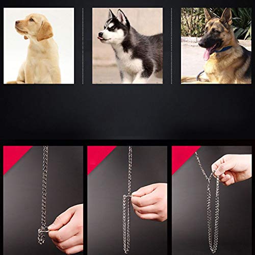 Correa para perro con cadena de acero inoxidable de plata dorada con correa de cuero negro, suministros para mascotas (color: dorado-100 cm, tamaño: como se muestra)