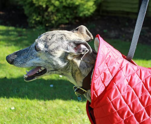 Cosipet Greyhound Anorak - Abrigo de Nailon (66 cm), Color Rojo