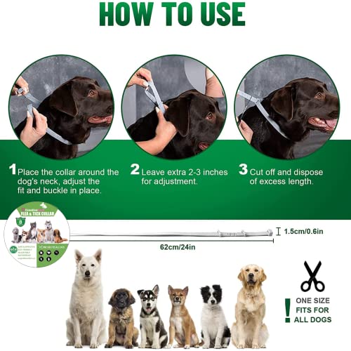 CreativeDom - Collar antiparasitario - antipulgas| Tratamiento antipulgas Perros para Perros |8 Meses de protección contra Pulgas - Garrapatas y Mosquitos |Collar de Cachorro Pequeño-Mediano-Grande