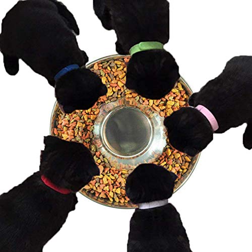 Cuenco de alimentación lenta para cachorros, cuencos de metal de acero inoxidable, cuenco para destete para cachorros, se puede utilizar para múltiples cachorros para comer agua (30 cm/2 piezas)