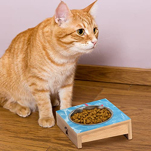 Cuenco de alimentación para gatos con diseño de estrella de mar de color rojo, doble gatito, alimentador de agua para gatos y perros pequeños