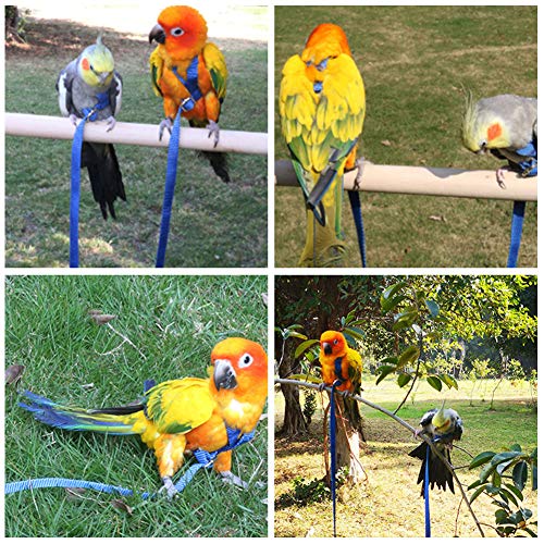 Cuerda de fibra, suave y cómoda Cinturón ajustable para pájaros Periquitos Pericos Loros Cacatúa Cockatiel Mascotas Entrenamiento y juego al aire libre(Amarillo)