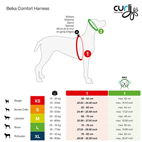Curli Belka Comfort Harness Red S
