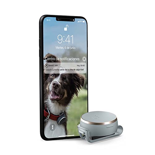 Curve Pet, Localizador GPS Inteligente, Dispositivo Ligero con Clip para Mascotas, Perros y Gatos - Suscripción Incluida 2 Años