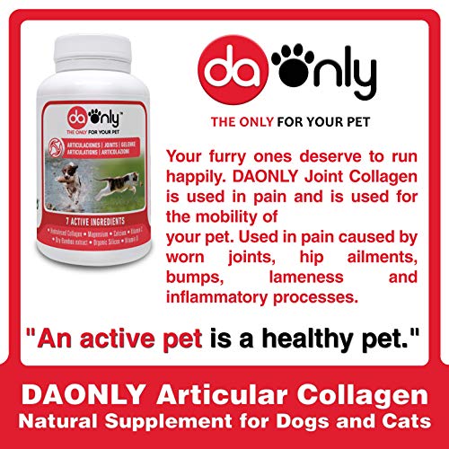 DAONLY colágeno Natural antiinflamatorio para Perros |60 Comprimidos| Pastillas Naturales | Alternativa a medicamentos y condroprotectores para Gatos