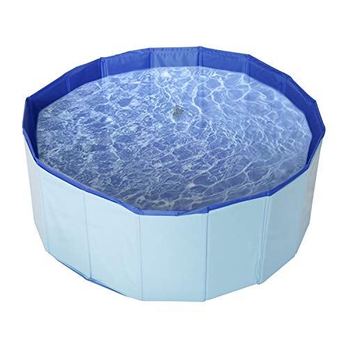DasMorine Bañera plegable para perros, de PVC, para piscina, para perros, de 80 x 20 cm, color azul