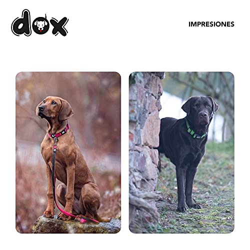 DDOXX Collar Perro Air Mesh, Ajustable, Acolchado | Muchos Colores & Tamaños | para Perros Pequeño, Mediano y Grande | Collares Accesorios Gato Cachorro | Rojo, S