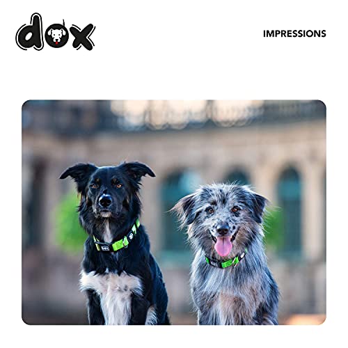 DDOXX Collar Perro Nylon, Ajustable | Muchos Colores & Tamaños | para Perros Pequeño, Mediano y Grande | Collares Accesorios Gato Cachorro | Rosado Pink, L