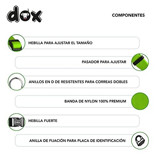 DDOXX Collar Perro Nylon, Ajustable | Muchos Colores & Tamaños | para Perros Pequeño, Mediano y Grande | Collares Accesorios Gato Cachorro | Verde, M