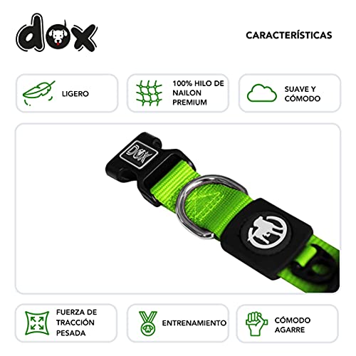 DDOXX Collar Perro Nylon, Ajustable | Muchos Colores & Tamaños | para Perros Pequeño, Mediano y Grande | Collares Accesorios Gato Cachorro | Verde, M